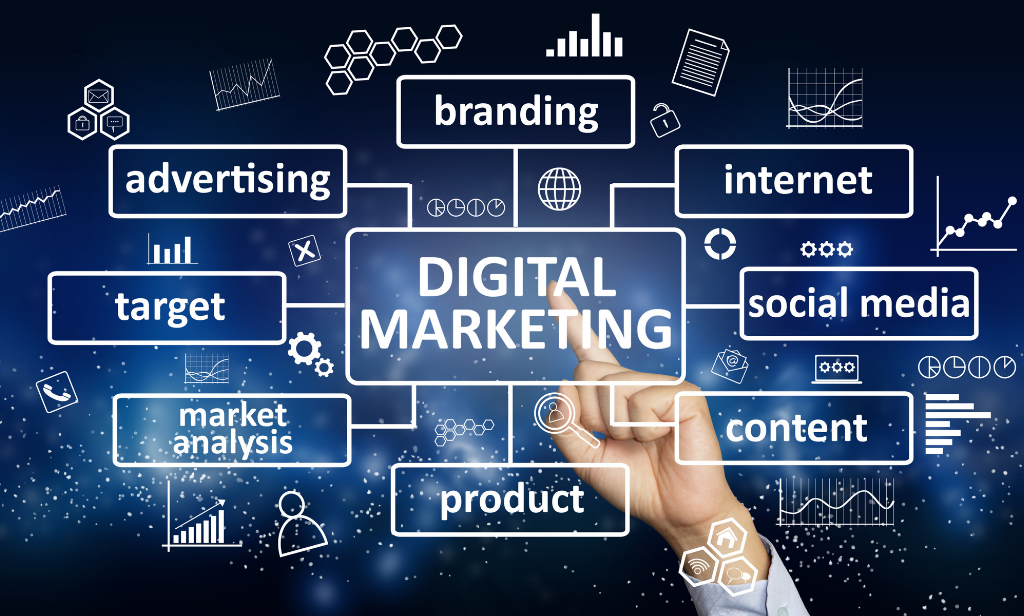 best digital marketing agency in Chandigarh